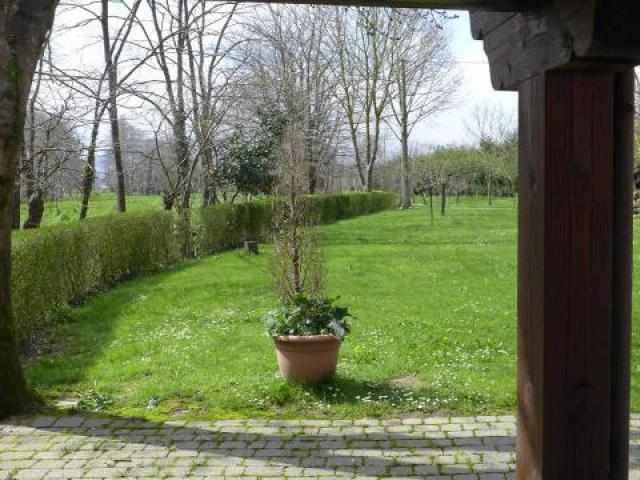 foto10