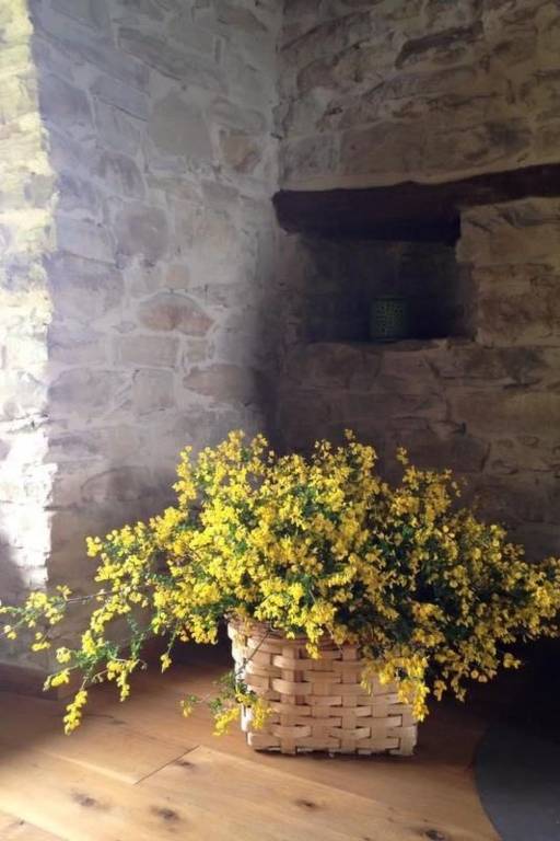 foto21