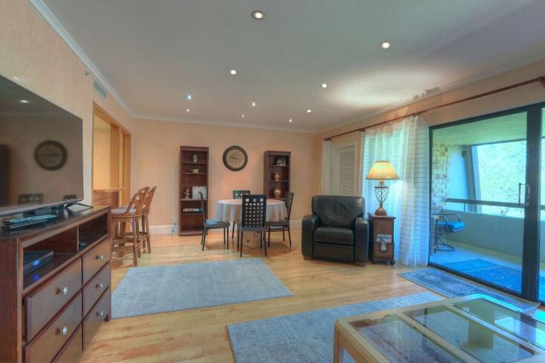 Condo Palm Harbor