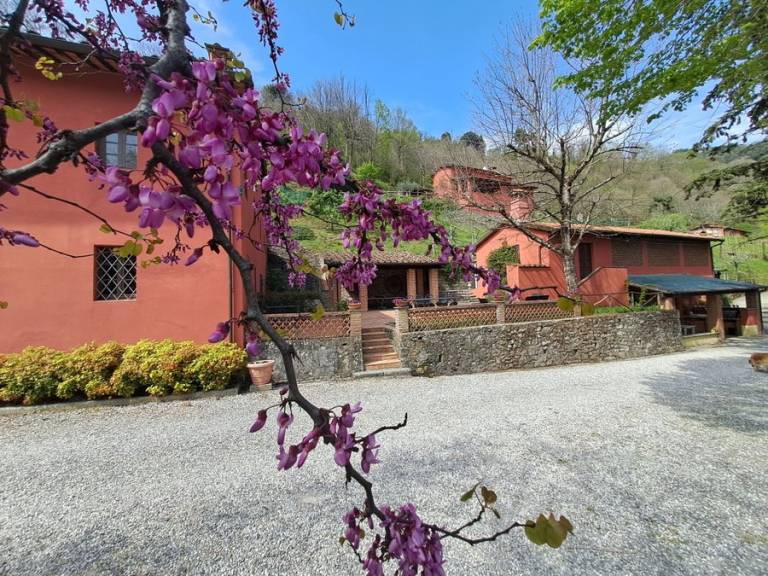 Privatzimmer Bagni di Lucca