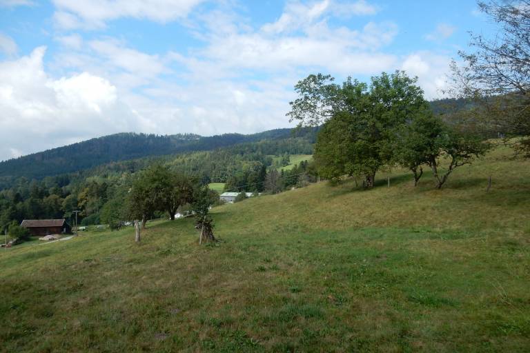 foto20