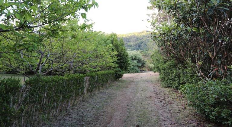 foto48