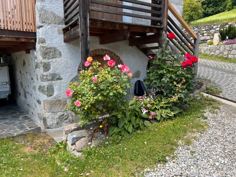 foto1