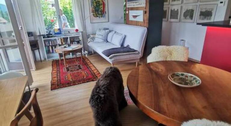 Apartment | Pets allowed — photo 5