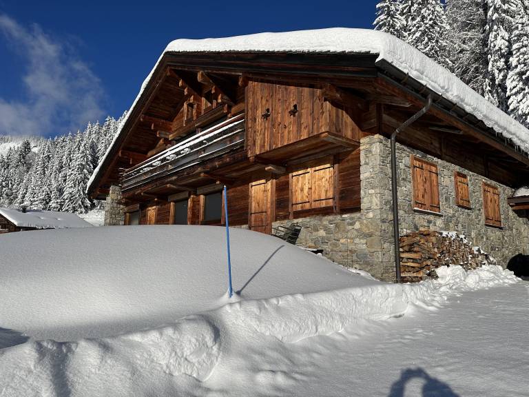 Chalet Praz-sur-Arly