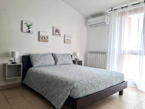 foto12