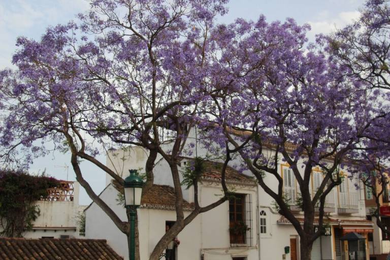 Pension Churriana