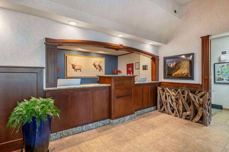 SureStay Plus by Best Western Buffalo — photo 4
