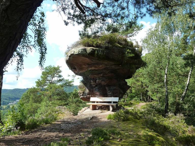 foto19