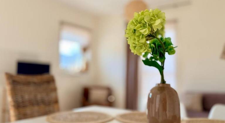 Rental apartment | Pets allowed — photo 4