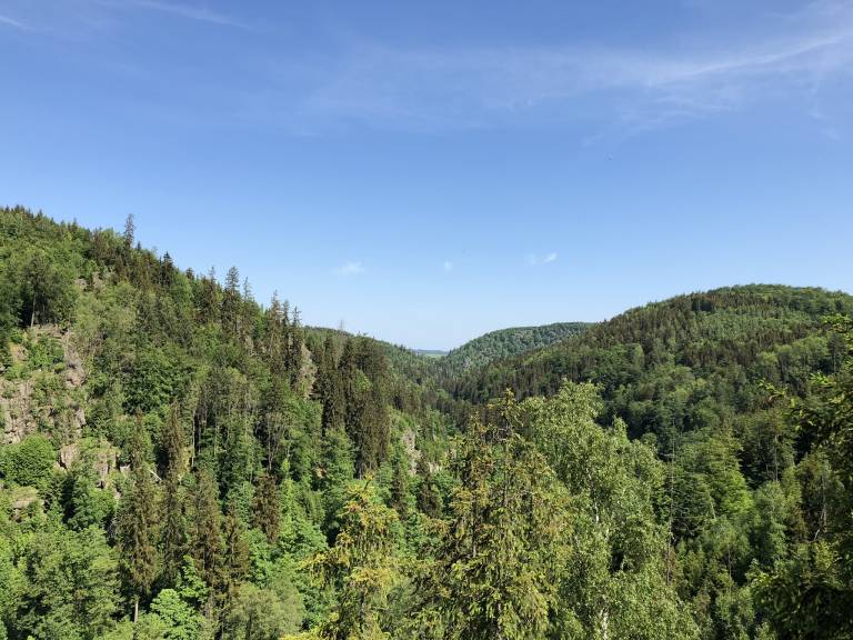 foto21
