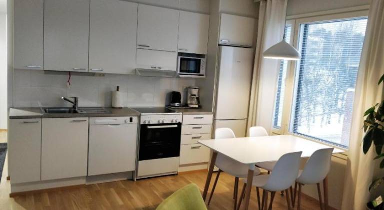 Siljonportti Apartments with private Sauna — photo 3