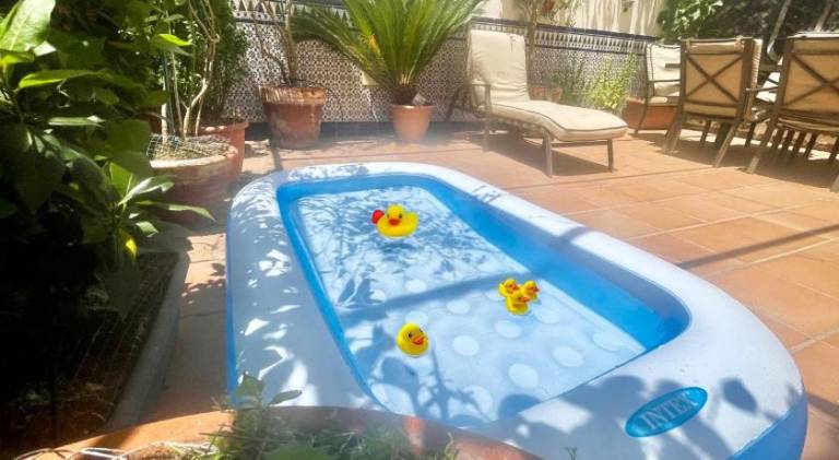 Maravilloso apartamento centrico de 70m2, jardin propio 40m2 con piscina para ninos y parking opcion — photo 4
