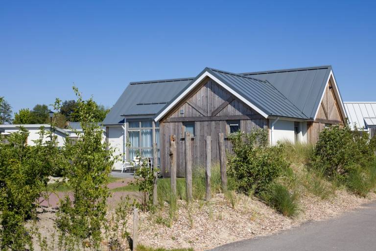 Ferienhaus mit Hund in Nieuwvliet, Holland Nordsee, Holland