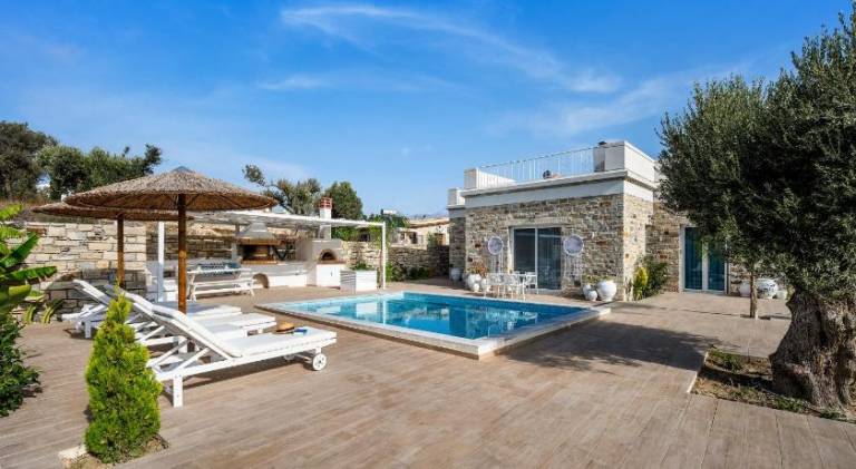 Fully equipped wonderful villa with garden, patio & private pool | Perfect for remote work | Dogs allowed in Heraklion