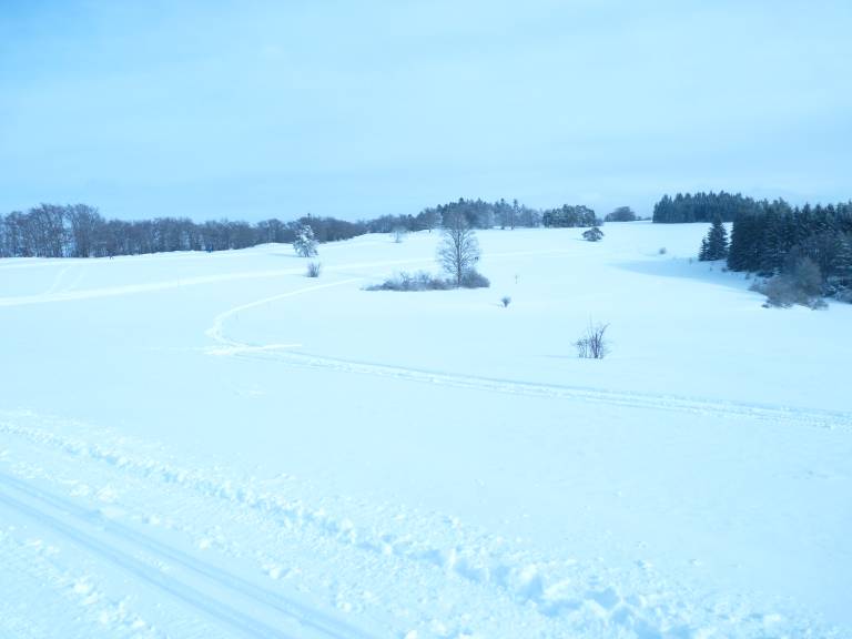 foto17