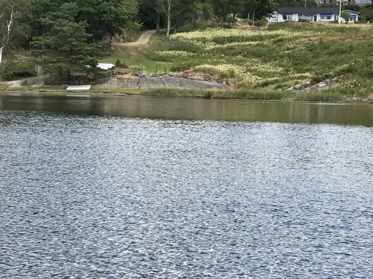 foto1