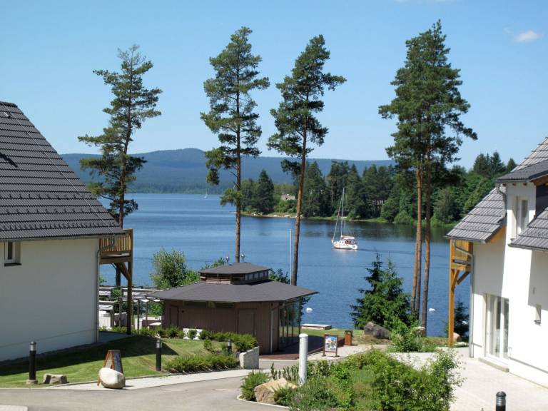 foto19