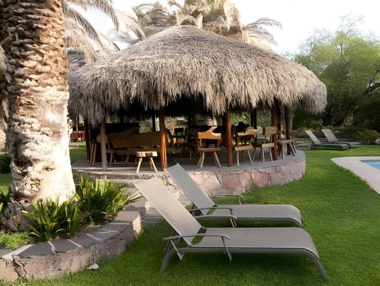 Nirvana Restaurant & Retreat — photo 5