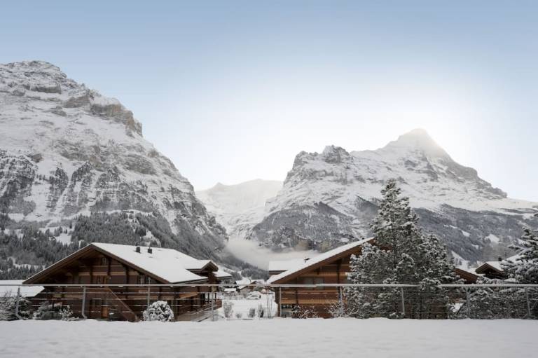 Aparthotel  Grindelwald