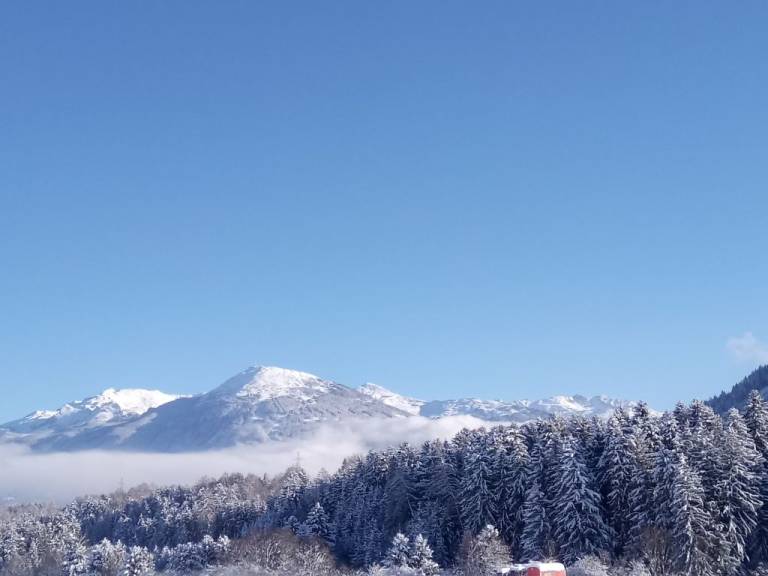 foto41