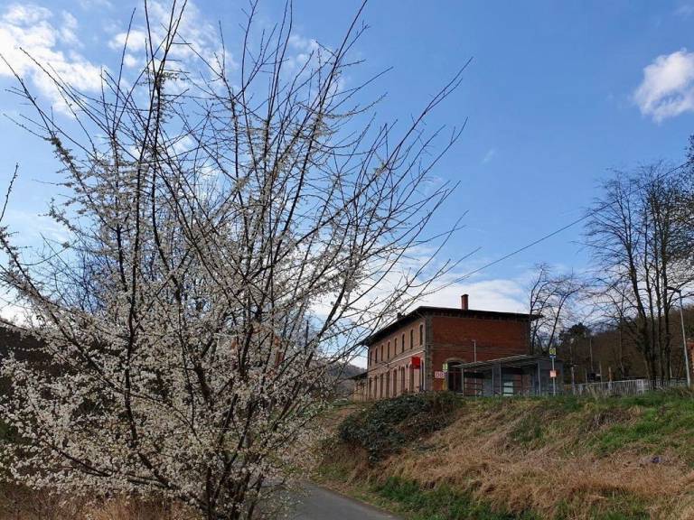 foto18