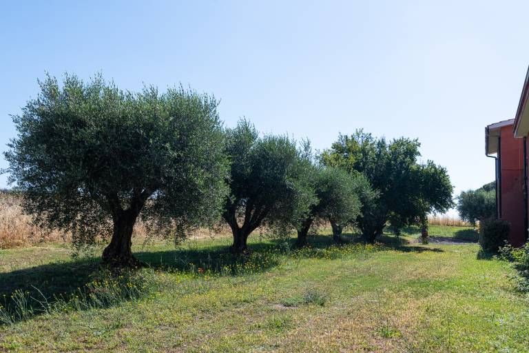 Privatzimmer Anguillara Sabazia