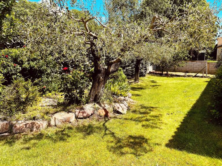 Villa Puisserguier
