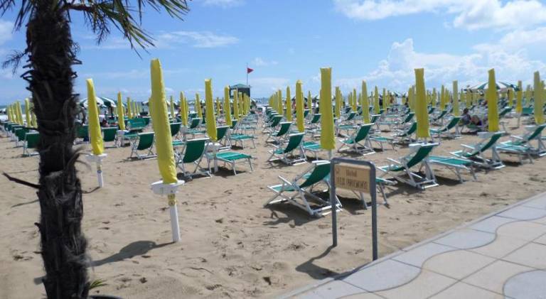 Serviced apartment with patio | Close to the beach | Pets allowed — photo 4