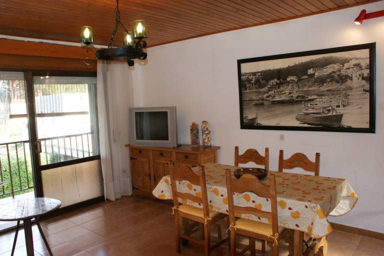 Rental apartment with yard & terrace — photo 5