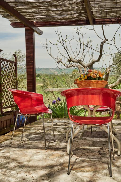 La Fattoria di Maria Donata: Fico — photo 5