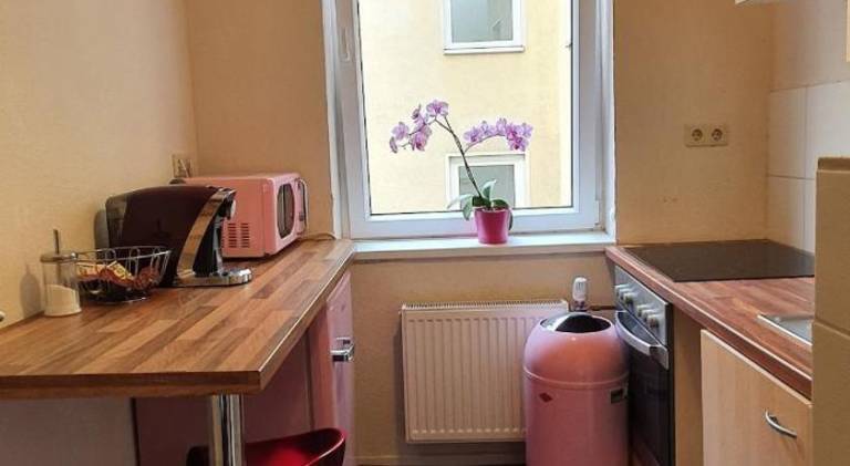 Rental apartment | Pet-friendly — photo 2