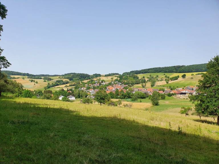 foto15