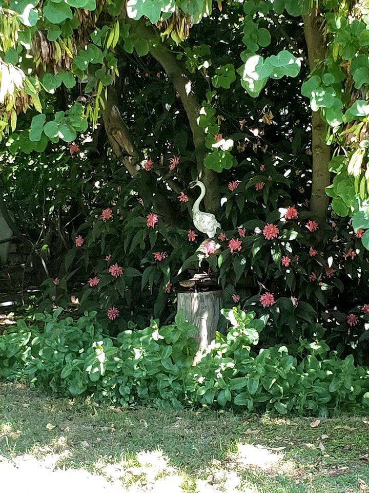 foto40