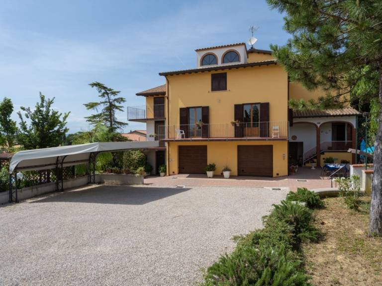 foto1