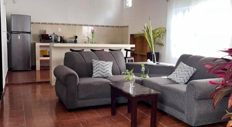 Pleasant apartment | Pet-friendly in Tulum