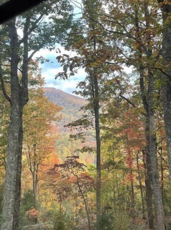 Apartment Blairsville