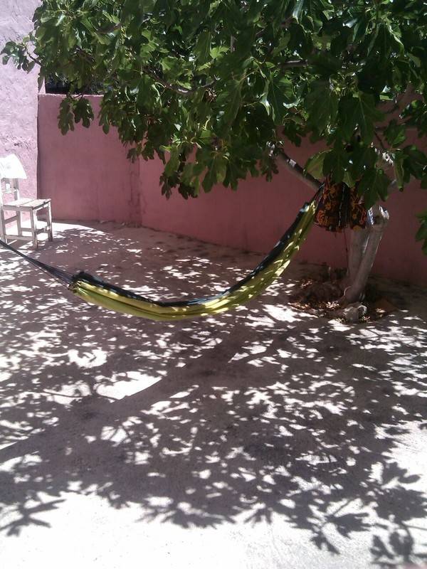 foto8