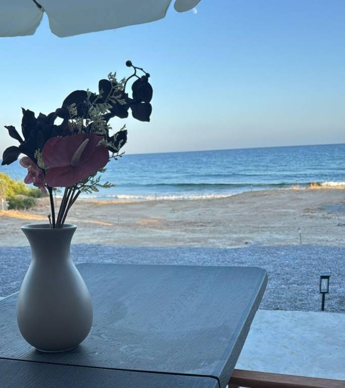 Michelle’s Beach House Koutsouras – Brand new beachfront house — photo 5
