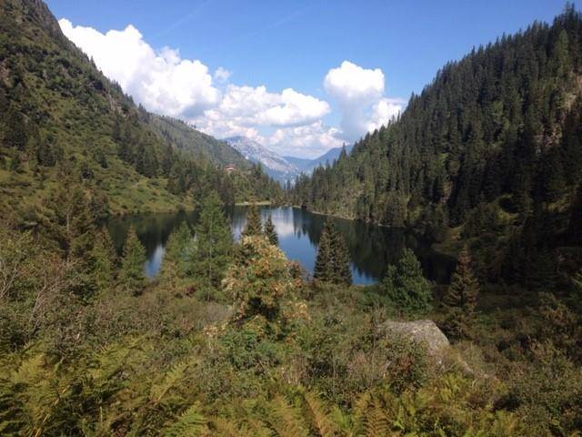foto18
