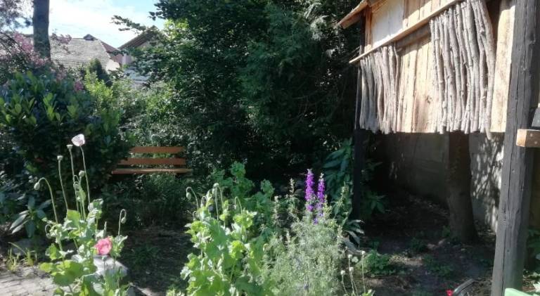 foto15