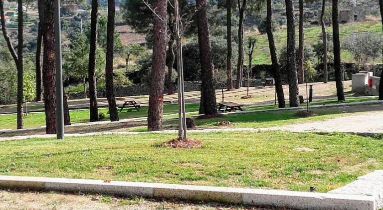 foto46