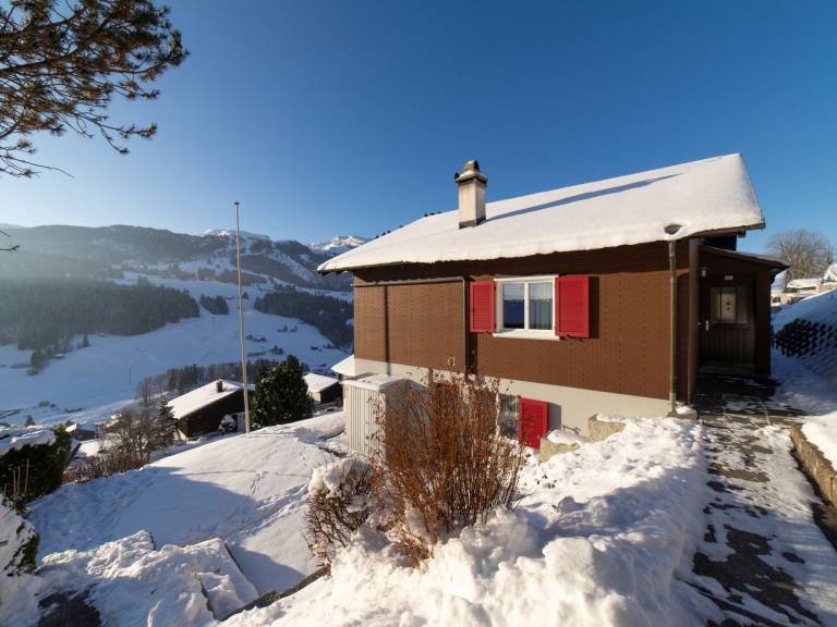 foto3