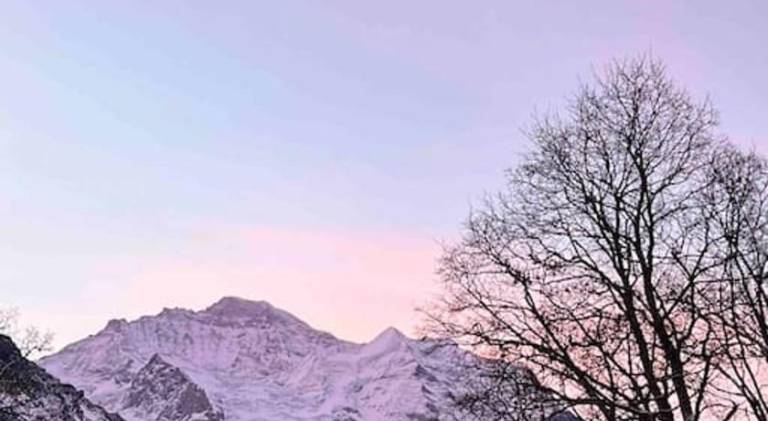 Apartment | Ski nearby | Pets are welcome — photo 4