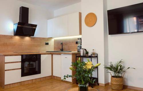 Apartman Požega