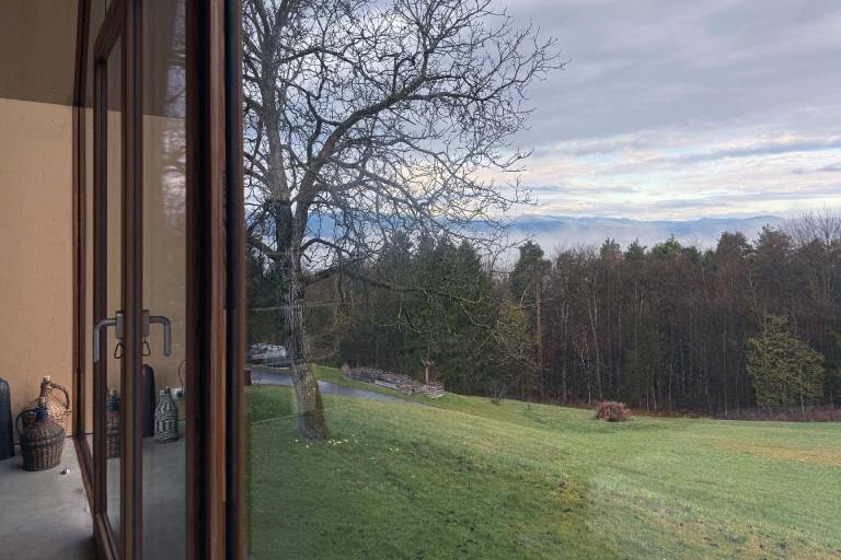 foto19