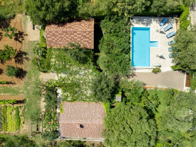 foto43