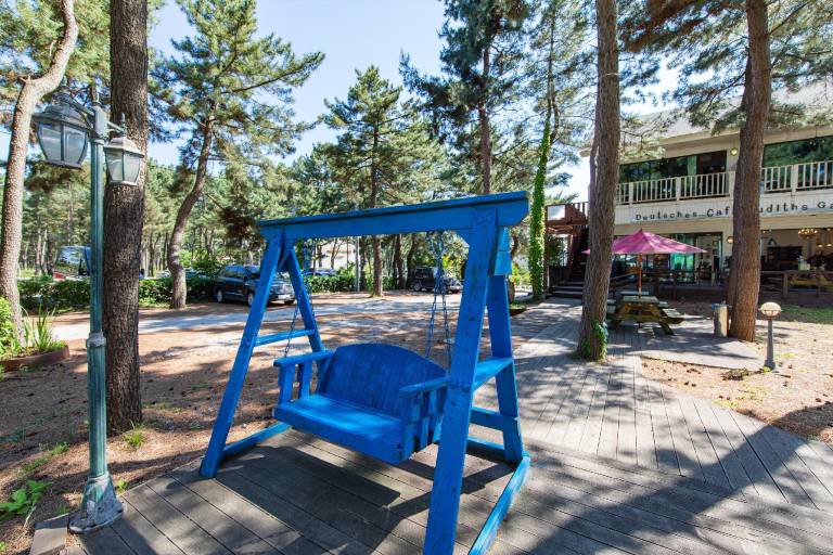 foto42