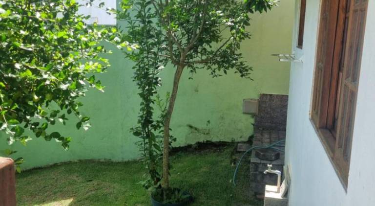 foto31