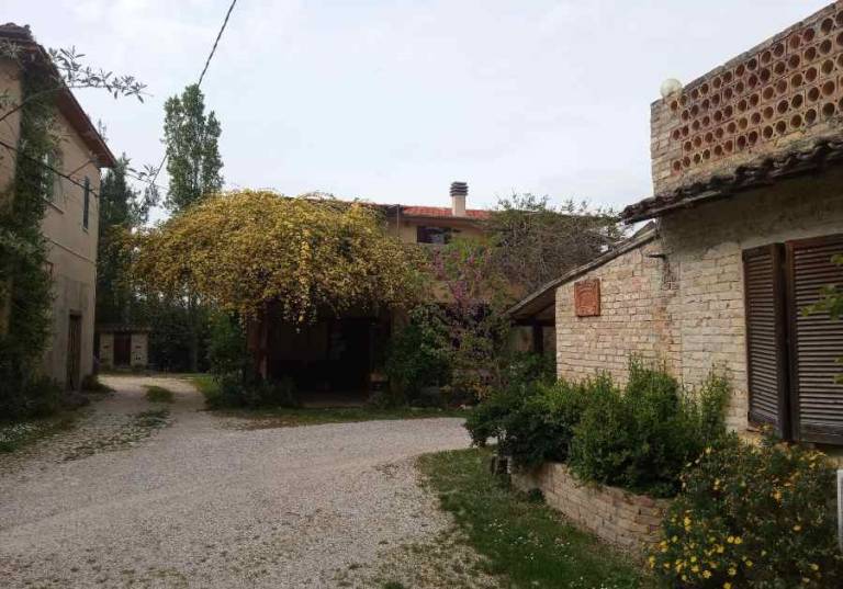 foto19